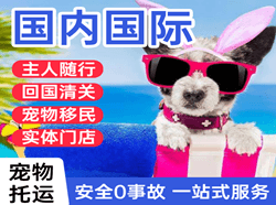 张掖甘州国际宠物托运 【国